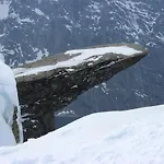 Roldalstunet